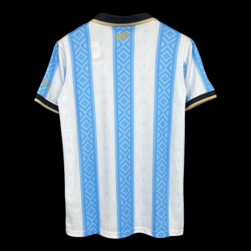Argentine Maillot Concept – Image 2