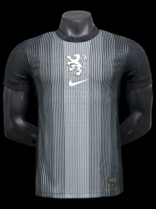 Pays Bas Maillot Gardien 25/26 (Euro 2025 Femme) – Version Player