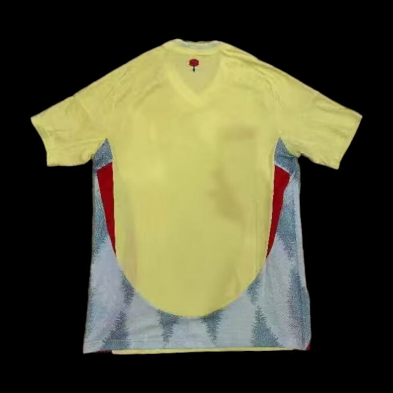 Espagne Maillot Extérieur 24/25 – Image 2