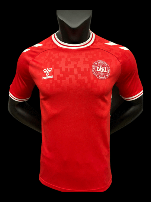 Danemark Maillot Domicile 24/25 – Version Player