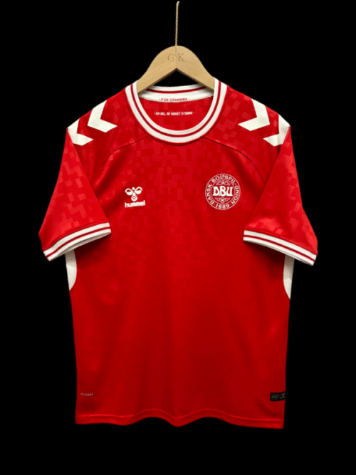 Danemark Maillot Domicile 24/25