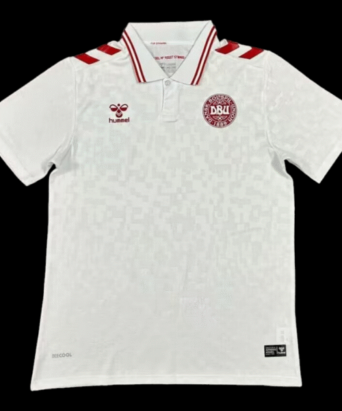 Danemark Maillot Extérieur 24/25