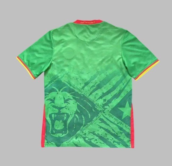 Cameroun Maillot Domicile 25/26 – Image 2