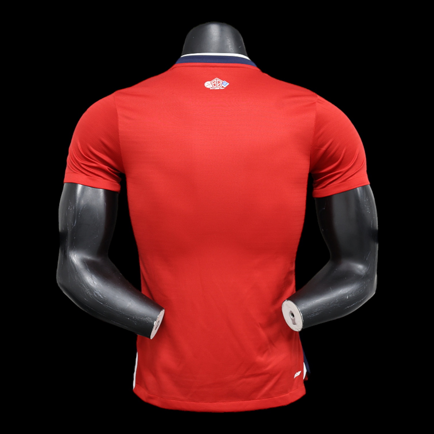 Lille Maillot Domicile 24/25 – Version Player – Image 2