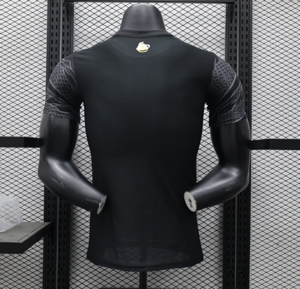 Manchester City Maillot Concept 24/25 – Version Player – Image 2