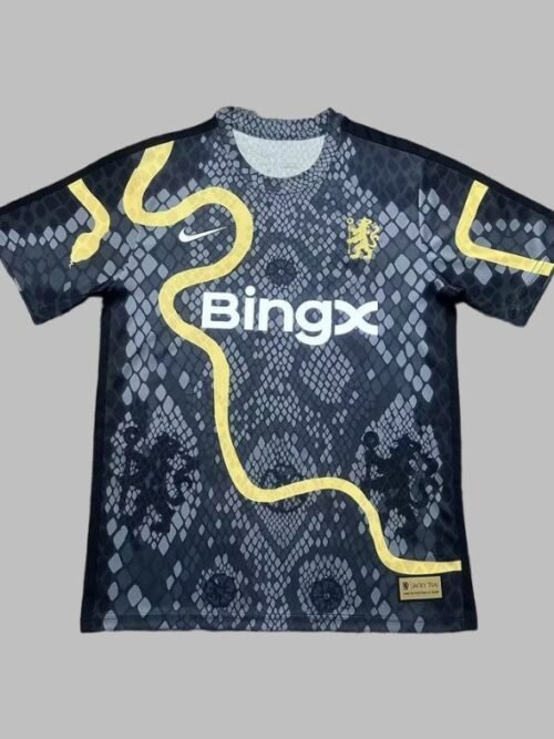 Chelsea Maillot Concept 25/26