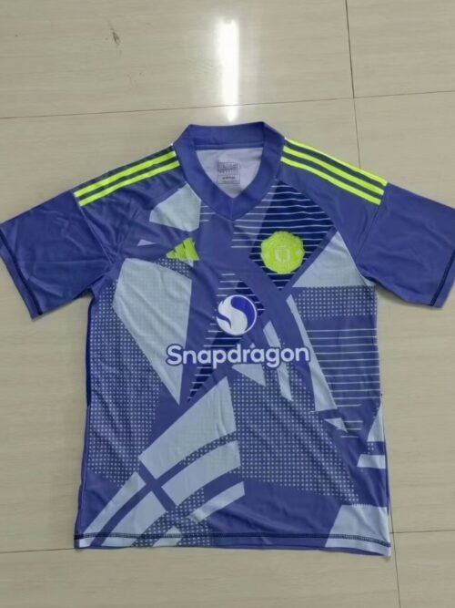 Manchester United Maillot Gardien 24/25