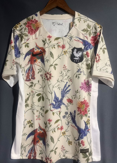 France Maillot Entrainement 23/24