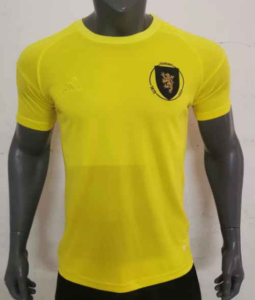 Ecosse Maillot Gardien 23/24