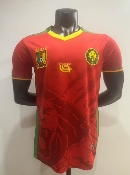 Cameroun Maillot Extérieur 25/26 - Version Player