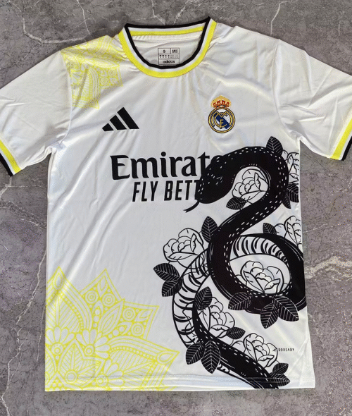 Inter Milan Maillot Concept 24/25