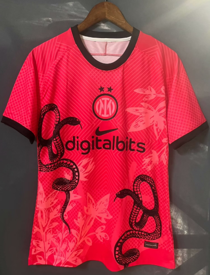 Inter Milan Maillot Concept 24/25