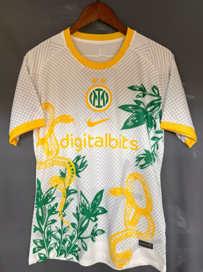Inter Milan Maillot Concept 24/25