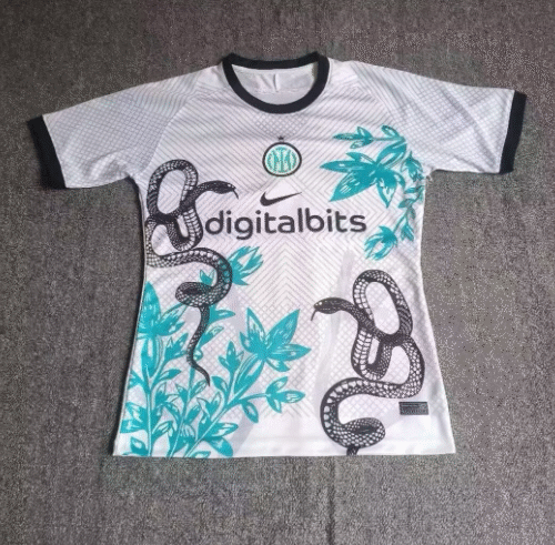 Inter Milan Maillot Concept 24/25