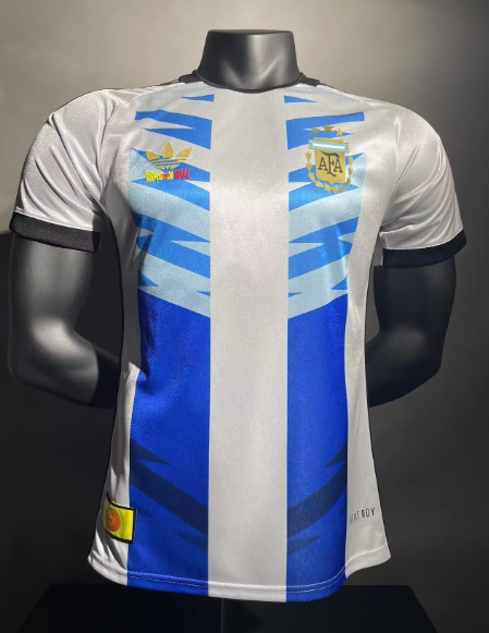 Argentine Maillot Concept 2024 – Version Player