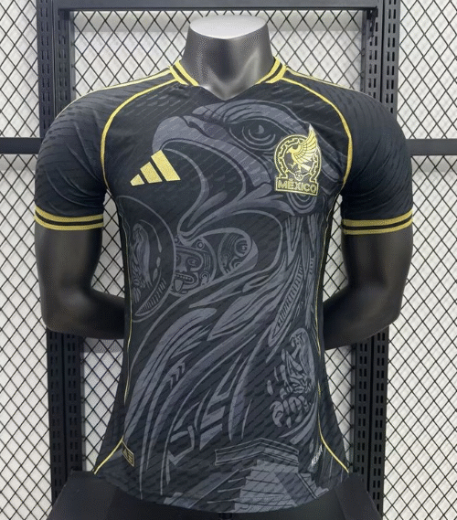 Mexique Maillot Concept 25/26 – Version Player