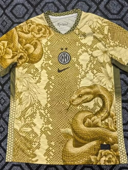 Inter Milan Maillot Concept 25/26