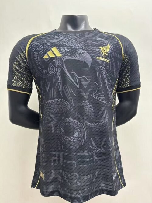 Mexique Maillot Concept 25/26 – Version Player