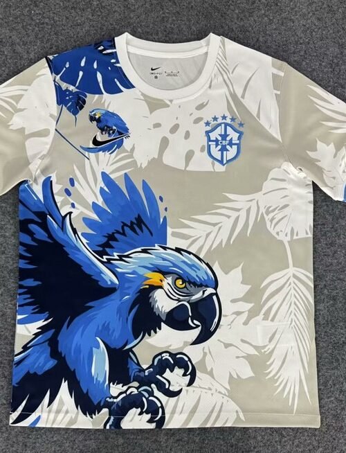 Brésil Maillot Concept 25/26