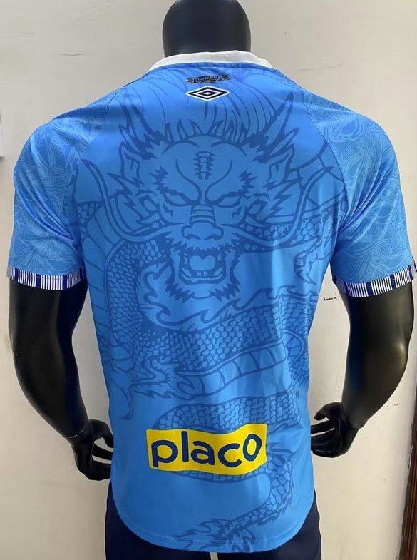 Santos Maillot Concept 25/26 – Version Player – Image 2
