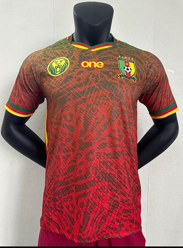Cameroun Maillot Concept 25/26 - Version Player