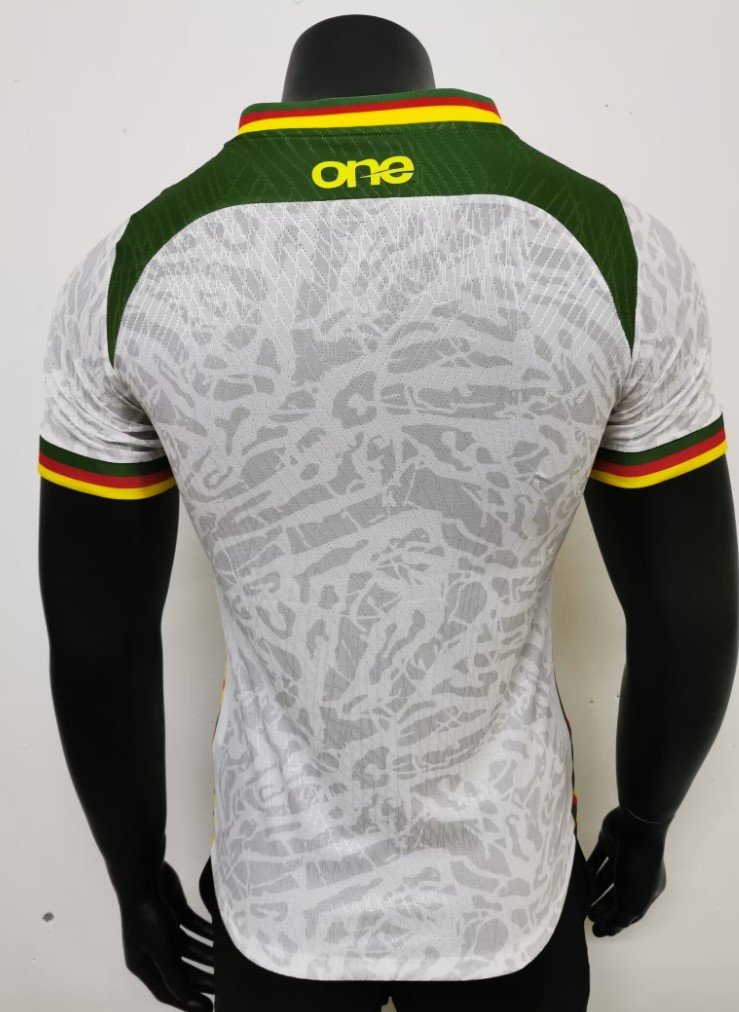 Cameroun Maillot Concept 25/26 - Version Player – Image 2