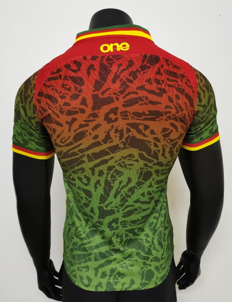 Cameroun Maillot Concept 25/26 - Version Player – Image 2
