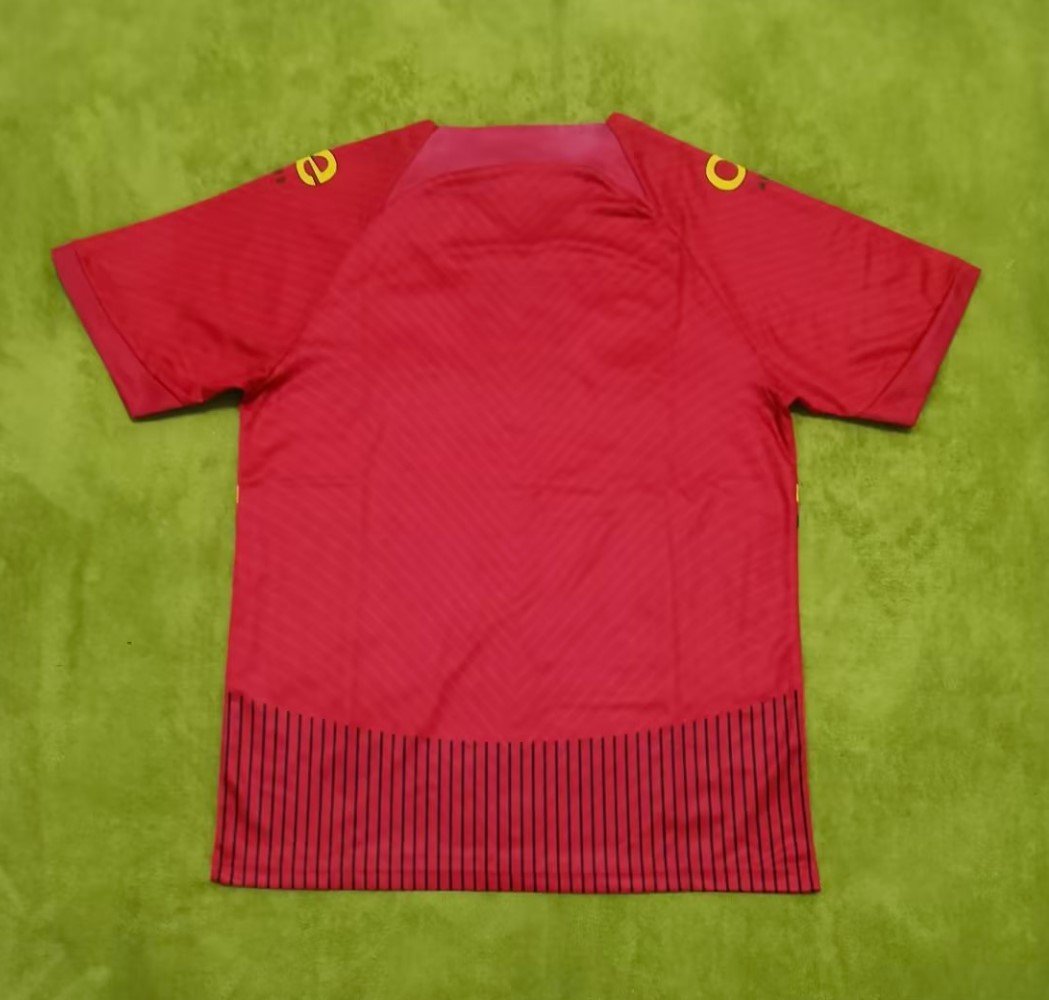 Cameroun Maillot Concept 2023 – Image 2