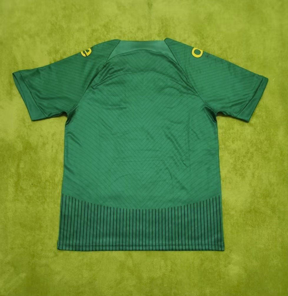 Cameroun Maillot Concept 2023 – Image 2