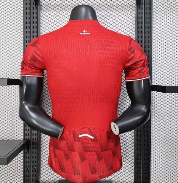 Lille Maillot Domicile 25/26 – Version Player – Image 2