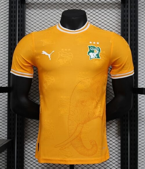 Cote d’Ivoire Maillot Concept 24/25 – Version Player