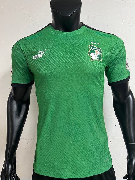 Cote d’Ivoire Maillot Entrainement 2023 – Version Player