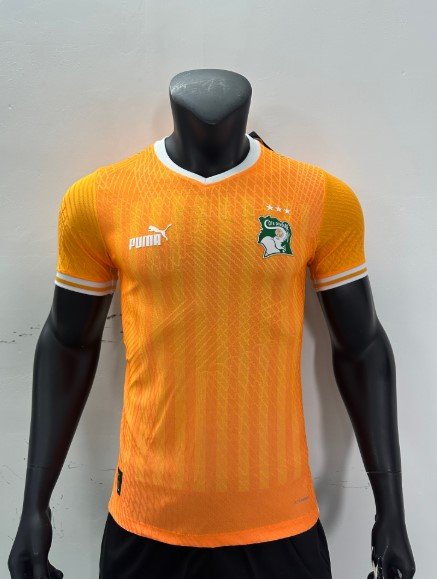 Cote d’Ivoire Maillot Entrainement 2023 – Version Player