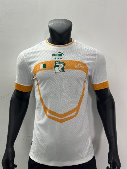 Cote d’Ivoire Maillot Entrainement 2023 – Version Player