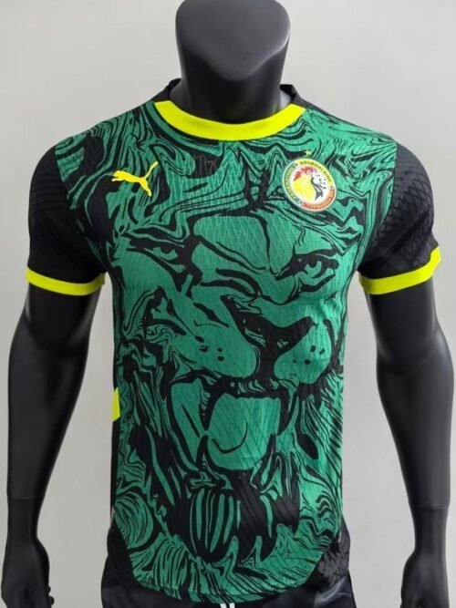 Sénégal Maillot Concept 24/25 – Version Player