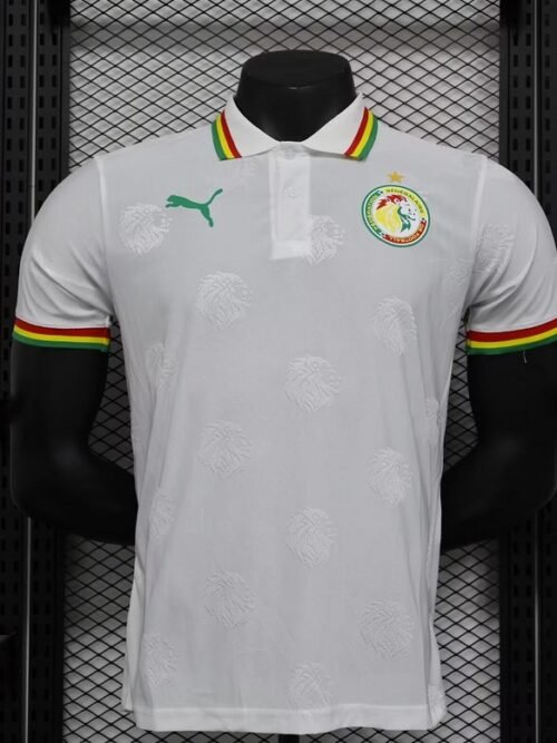 Sénégal Maillot Concept 24/25 – Version Player