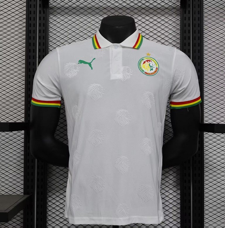 Sénégal Maillot Concept 24/25 – Version Player