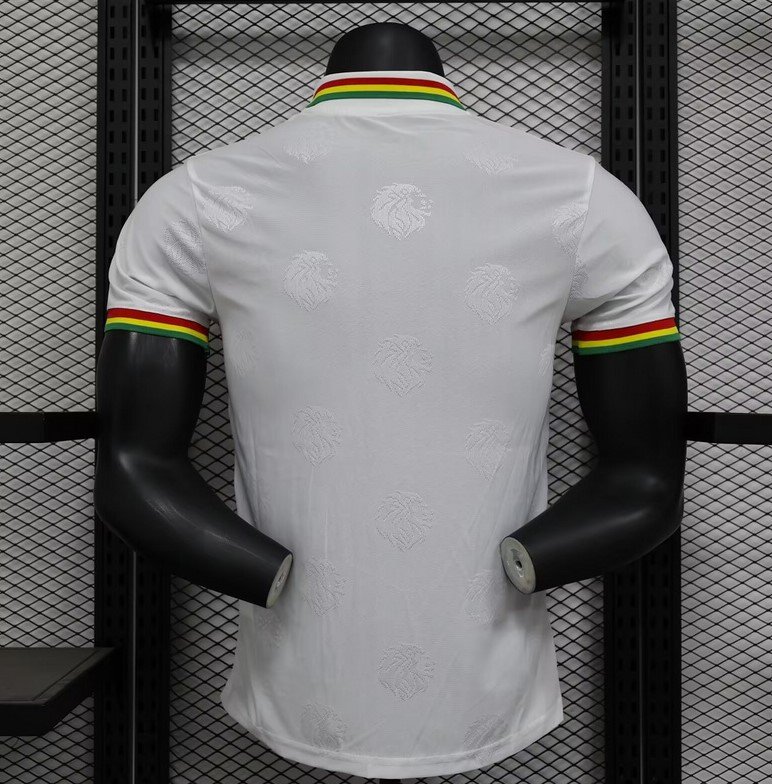 Sénégal Maillot Concept 24/25 – Version Player – Image 2