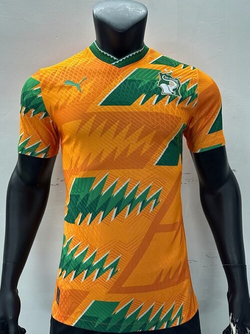 Sénégal Maillot Concept 23/24 – Version Player