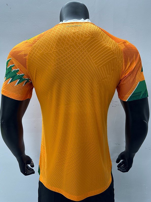 Sénégal Maillot Concept 23/24 – Version Player – Image 2