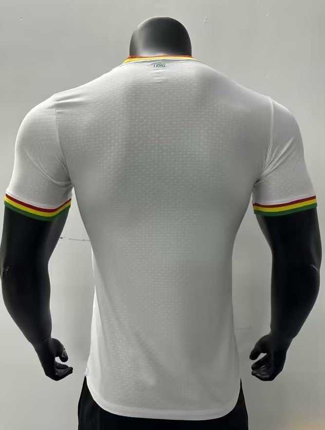 Sénégal Maillot Concept 23/24 – Version Player – Image 2
