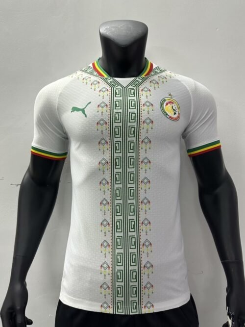Sénégal Maillot Concept 23/24 – Version Player