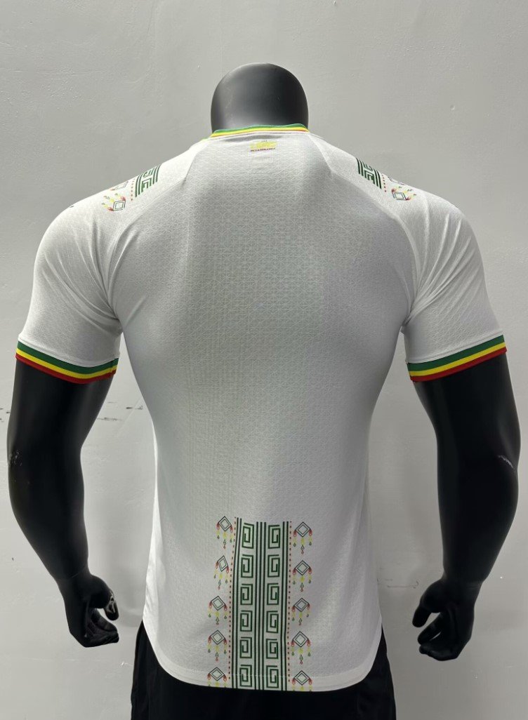 Sénégal Maillot Concept 23/24 – Version Player – Image 2