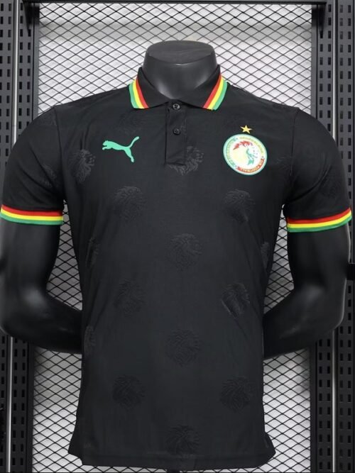 Sénégal Maillot Concept 24/25 – Version Player