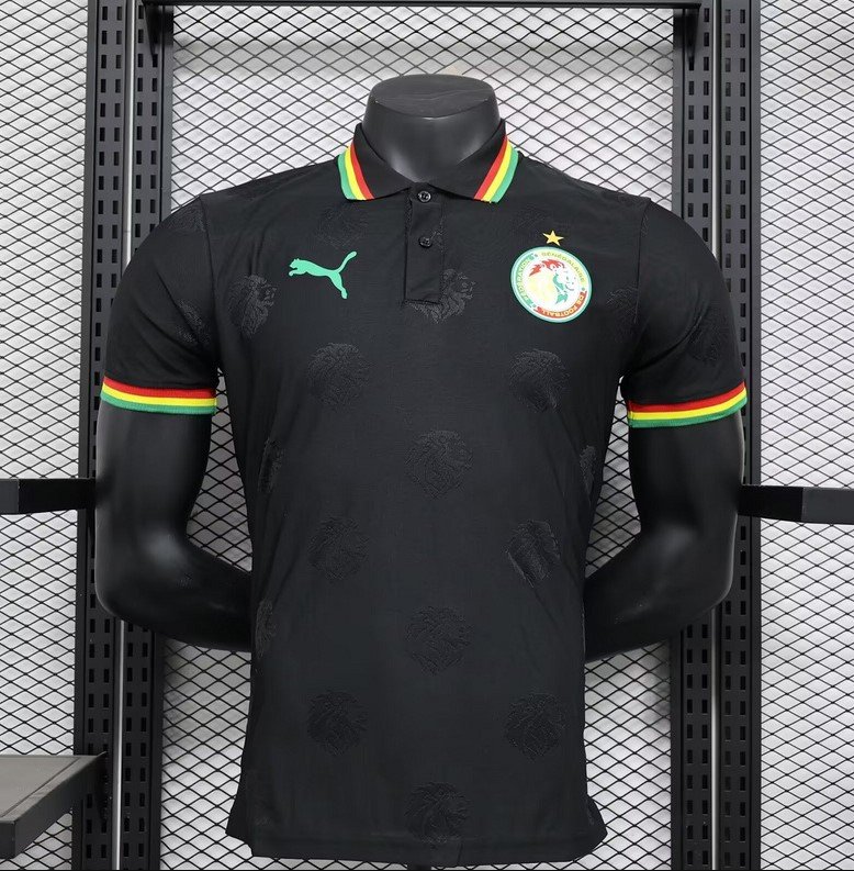 Sénégal Maillot Concept 24/25 – Version Player
