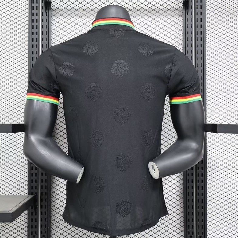 Sénégal Maillot Concept 24/25 – Version Player – Image 2