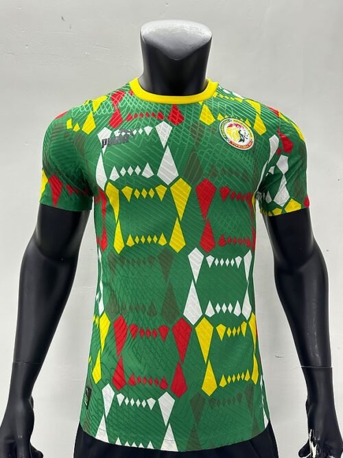 Sénégal Maillot Domicile 23/24 – Version Player