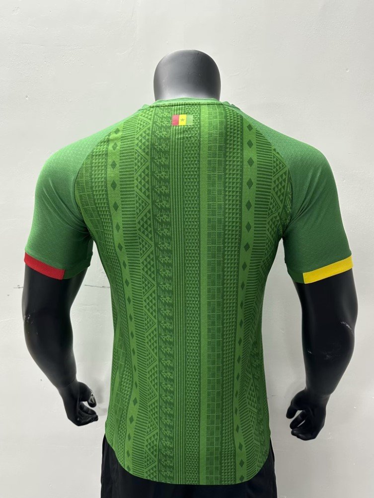 Sénégal Maillot Extérieur 23/24 – Version Player – Image 2