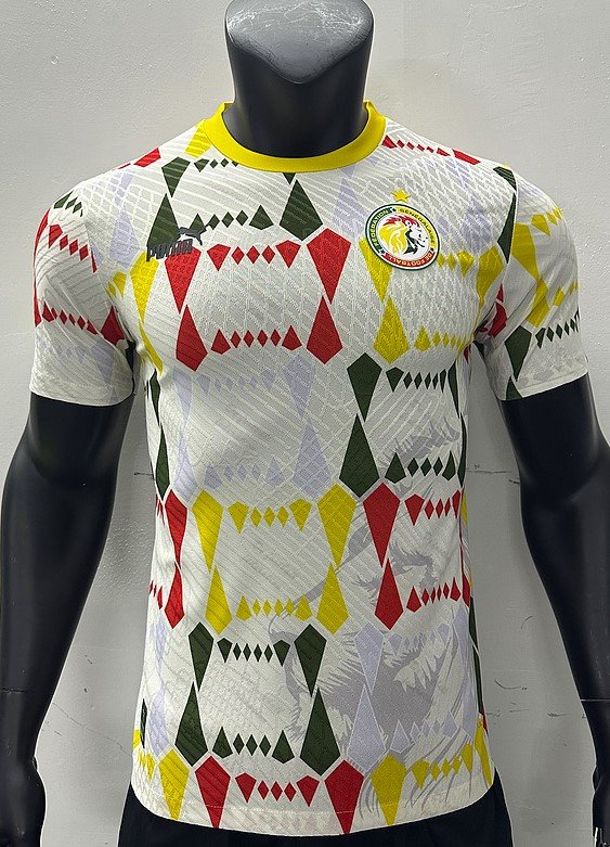 Sénégal Maillot Entrainement 24/25 – Version Player