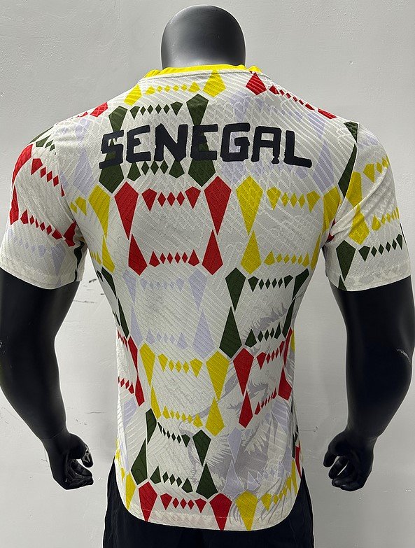 Sénégal Maillot Entrainement 24/25 – Version Player – Image 2